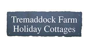 Logo for Tremaddock