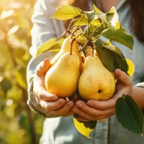 Featured image for Chris Bowers & Sons