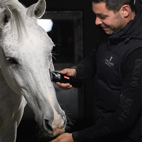 Featured image for Anglia Clipper Services