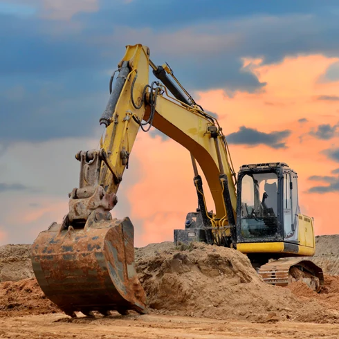 Featured image for Plant Parts